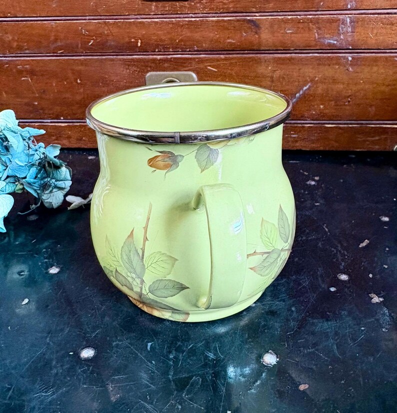 May include: A light green enamelware pitcher with a silver rim and handle. The pitcher is decorated with a floral pattern of roses and leaves in shades of brown and green. The pitcher is a vintage style.