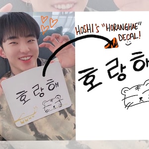 Hoshi&#39;s Horanghae Decal