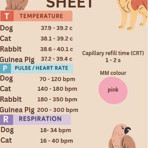 Paws, Pulse, Temp – Quick TPR Poster - Etsy