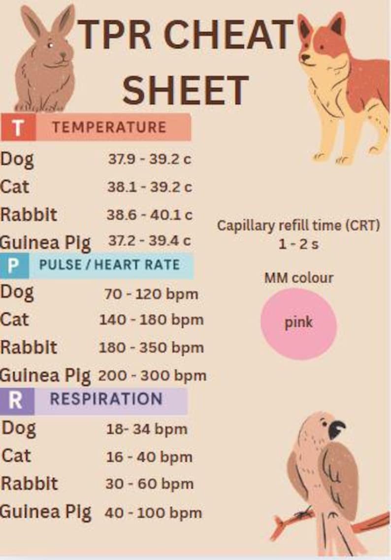 Paws, Pulse, Temp – Quick TPR Poster - Etsy
