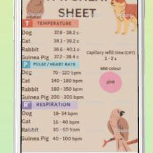 Paws, Pulse, Temp – Quick TPR Poster - Etsy