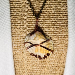 May include: A pendant necklace featuring a natural off-white and tan seashell wrapped in dark copper wire. The shell is suspended from a matching dark copper chain, with the wire forming decorative coils at the base of the shell.