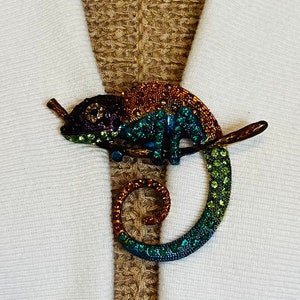 Sweater Clips Gecko Sweater Clip Shawl Clasp Cardigan Clasps  Cosplay Clips Dress Clip Tropical Jewelry Sweater Guard Birthday Gift for Her