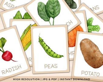 Op de afbeelding: Een set flashcards met aquarel illustraties van verschillende groenten, waaronder asperges, spinazie, erwten, radijsjes, maïs, aardappelen en pompoenen. Elke kaart heeft de naam van de groente onder de afbeelding gedrukt.