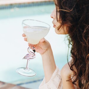 May include: A woman is holding a pink flamingo-shaped margarita glass filled with a light yellow beverage. The glass has a salted rim.