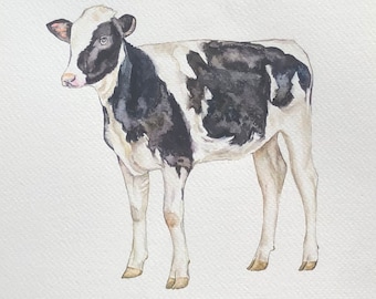 Calf Watercolor Print- Calf Painting, Cow Nursery Art, Black and