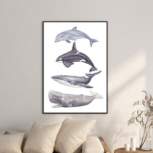 Acquerello di animali marini - Dipinto di squalo balena, delfino, orca - Arte murale della vita marina - Decorazione per cameretta dei bambini con oceano - Dipinto originale