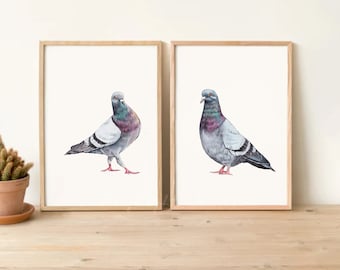 Pigeon print, pigeon painting png, pigeon watercolor wall art, dove art print