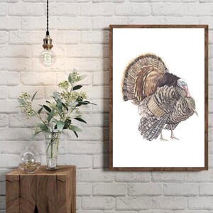 Turkey Watercolor Print – Farmhouse Wall Art – Father’s Day Gift ...