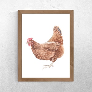 Watercolor Chicken Print – Farmhouse Kitchen Hen Art Easter Chick Wall Art – Country Style Chicken Illustration – Rustic Farm Animal Decor