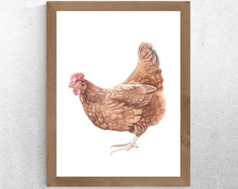 May include: Watercolor print of a brown hen with a red comb and wattle, set against a white background. The artwork is framed in a natural wood frame, adding a rustic touch. The image is a detailed illustration of a chicken.