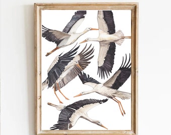 日本の鶴の水彩画アートプリント：モダンな鳥の水彩画 / ミニマリスト