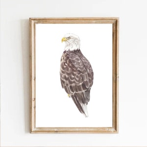 Eagle watercolor eagle print printable eagle wall art