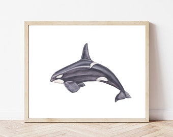 Killer whale print, whale digital download, whale watercolor painting