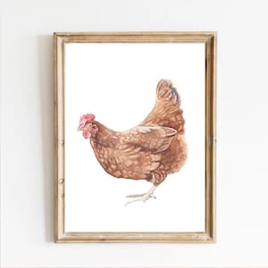 Kip aquarel schilderij, kip schilderen, kip print, pasen kuiken