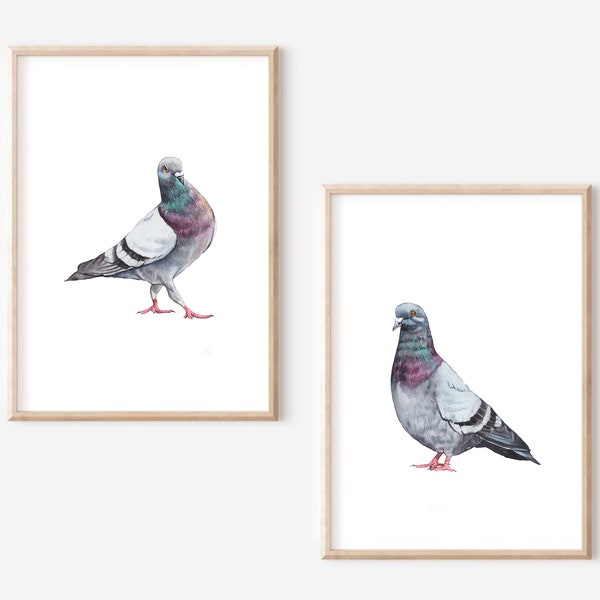 Pigeon print, pigeon watercolor wall art, dove art print