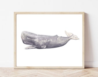 Sperm whale art print, whale digital download, whale watercolor painting