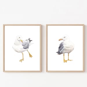 Seagull print, seagull watercolor, seagull png, two seagulls