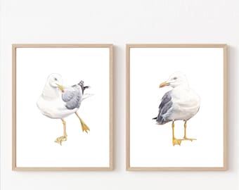 Seagull print, seagull watercolor, seagull png, two seagulls