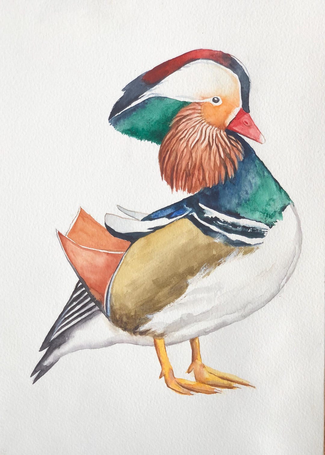 Mandarin Duck Watercolor Painting – Original Bird Art – Wildlife Decor ...