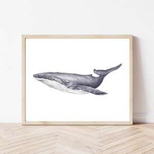 Humpback whale print wall art, whale digital download, whale watercolor painting