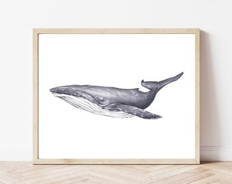 Humpback whale print wall art, whale digital download, whale watercolor painting