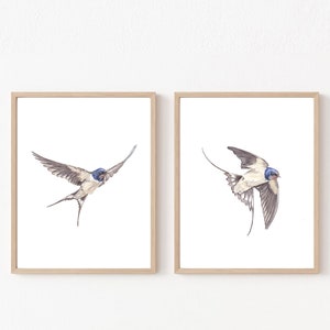 Swallow print watercolor swallow wall art