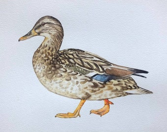 Aquarell Ente Wandkunst - Süßes Original Gemälde für Baby Zimmer, Küche oder Wohnraum Niedliches handgemaltes Wandbild für Kinderzimmer oder Küche
