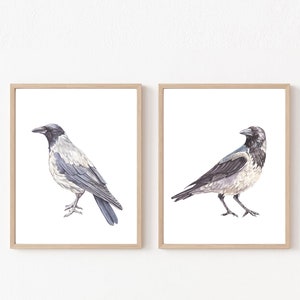 Crow watercolor crow print download crow png raven printable