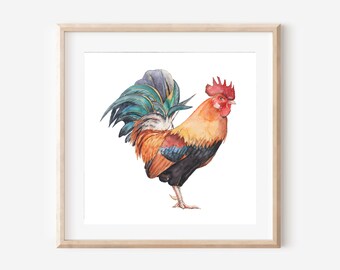Red rooster prints watercolor wall decor