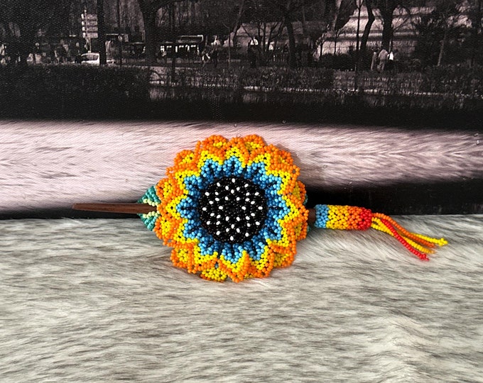 Large hair clip