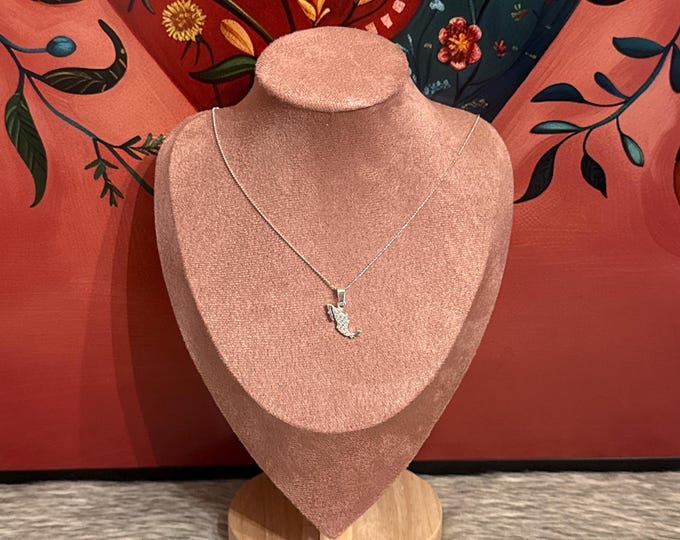 chain with Mexico map pendant