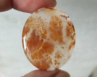 R1242 31X18mm 27.30cts.. Dendritic moss agate cabochons
