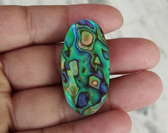 R1575 Natural Abalone Paua Shell cabochons,35X25mm,41.70.cts,..