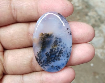R1242 31X18mm 27.30cts.. Dendritic moss agate cabochons