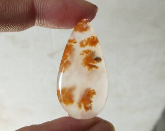 R1242 31X18mm 27.30cts.. Dendritic moss agate cabochons