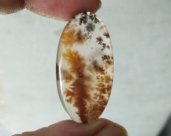R1242 31X18mm 27.30cts.. Dendritic moss agate cabochons