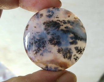 R1242 31X18mm 27.30cts.. Dendritic moss agate cabochons