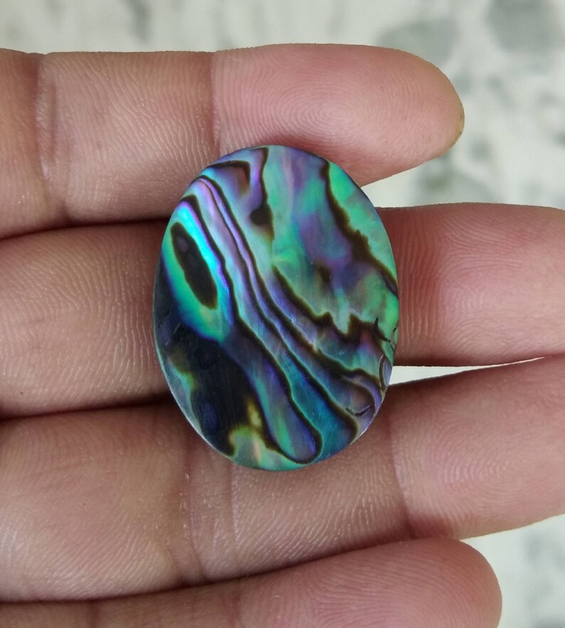 R1597 Natural Abalone Paua Shell cabochons,29X22mm,26.20.cts,..