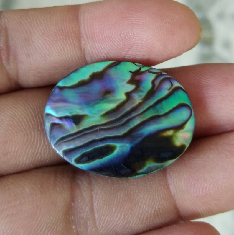 R1597 Natural Abalone Paua Shell cabochons,29X22mm,26.20.cts,..