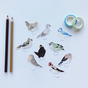 British Birds Sticker Set - Cute Sticker Pack - Vinyl Sticker Pack - Sticker Set