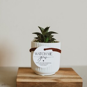 Baby Shower Succulent Favor Sign, Watch Baby Grow, Succulent Favor, Please Take One, Minimalist Baby Shower, Instant Download, Corjl PP50 image 2