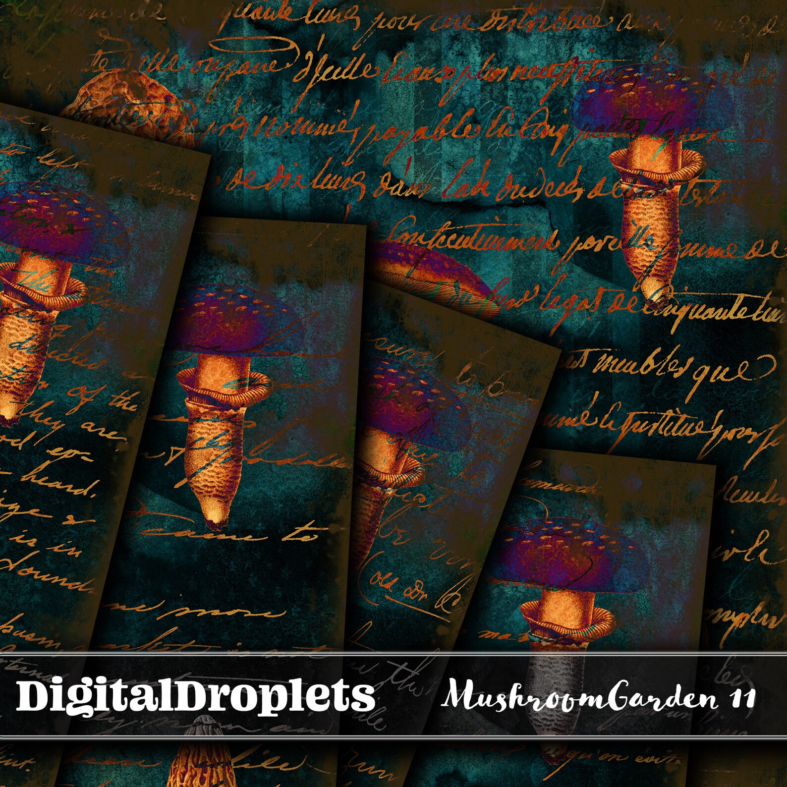 Is the american dream real image