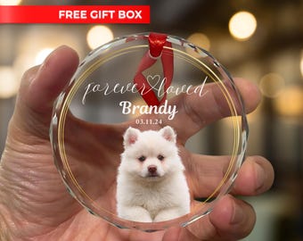 Custom Dog Memorial Photo Glass Ornament, Personalized Pet Loss Keepsake Gift, Pet Portrait Name Gifts, Cat Christmas Picture Ornament