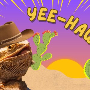 Carte postale cow-boy animal Yee-Haw