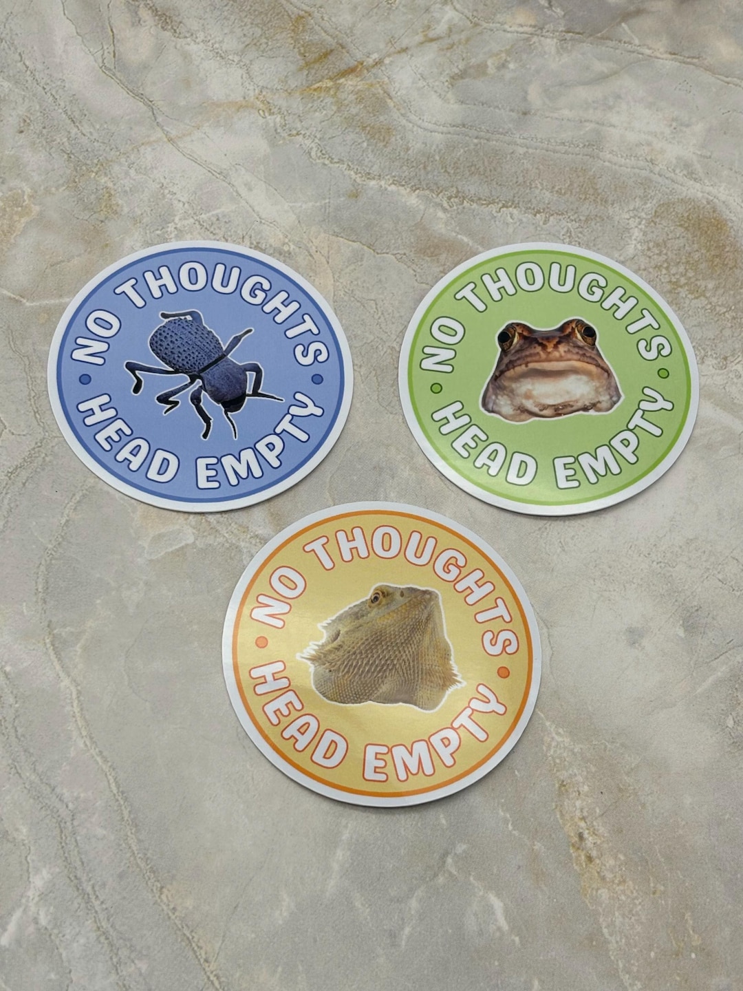 No Thoughts Head Empty Sticker - Etsy