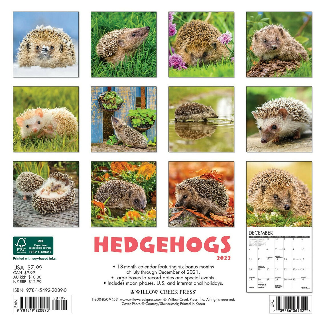 Willow Creek Hedgehogs 2022 Mini Wall Calendar Etsy