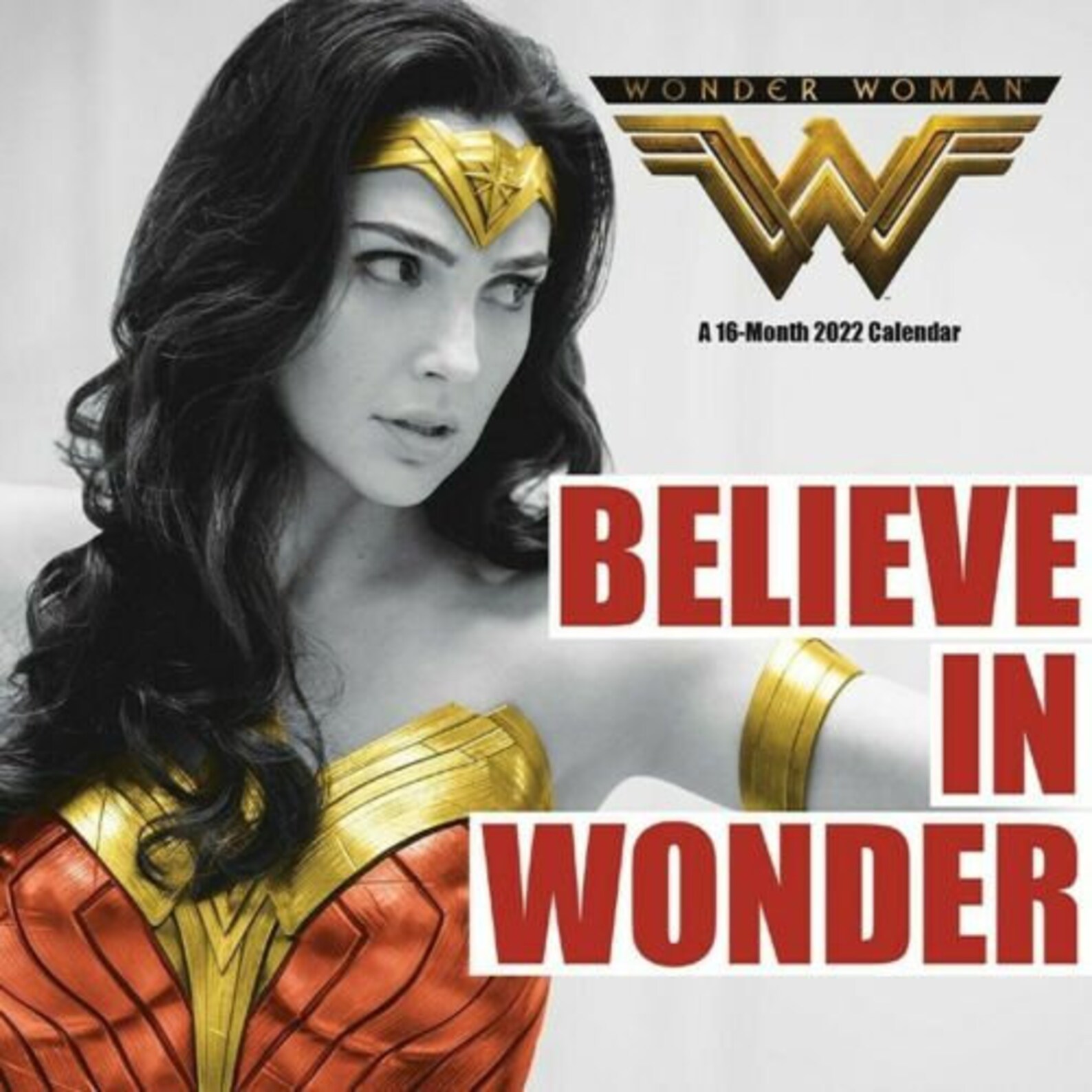 Trends International 2022 DC Comics Wonder Woman Mini Wall