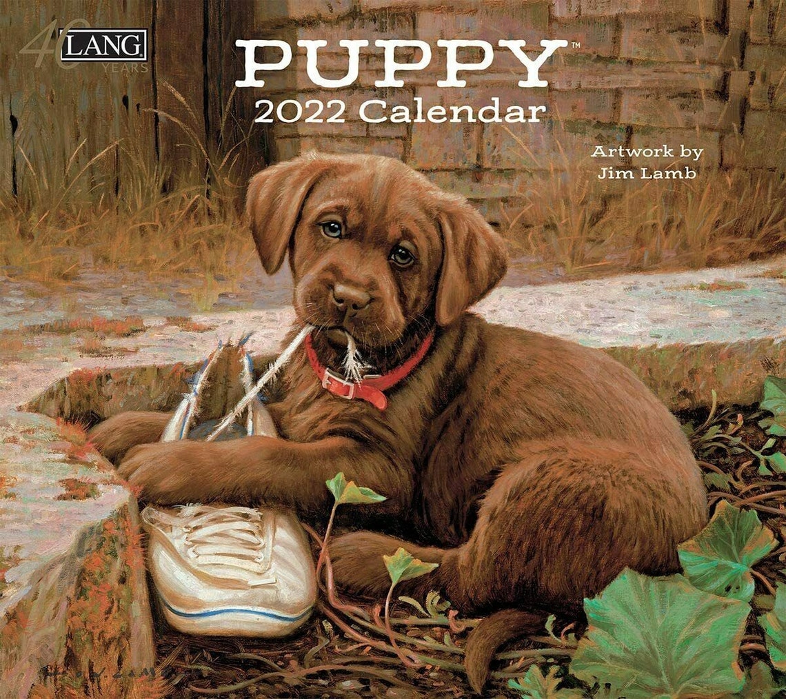 Lang Puppy 2022 Wall Calendar Etsy