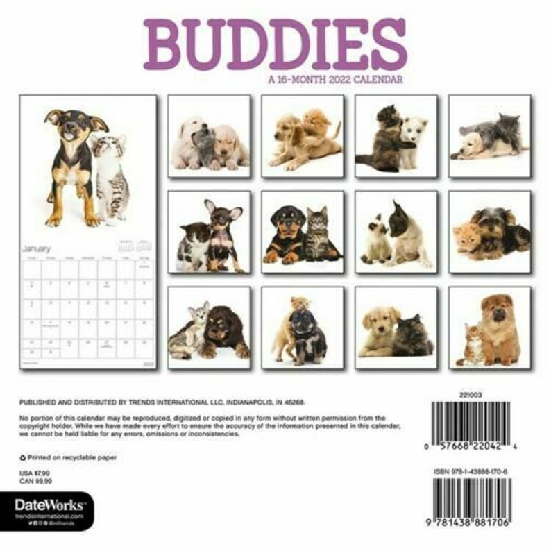Trends International 2022 Buddies Kittens and Puppies Mini